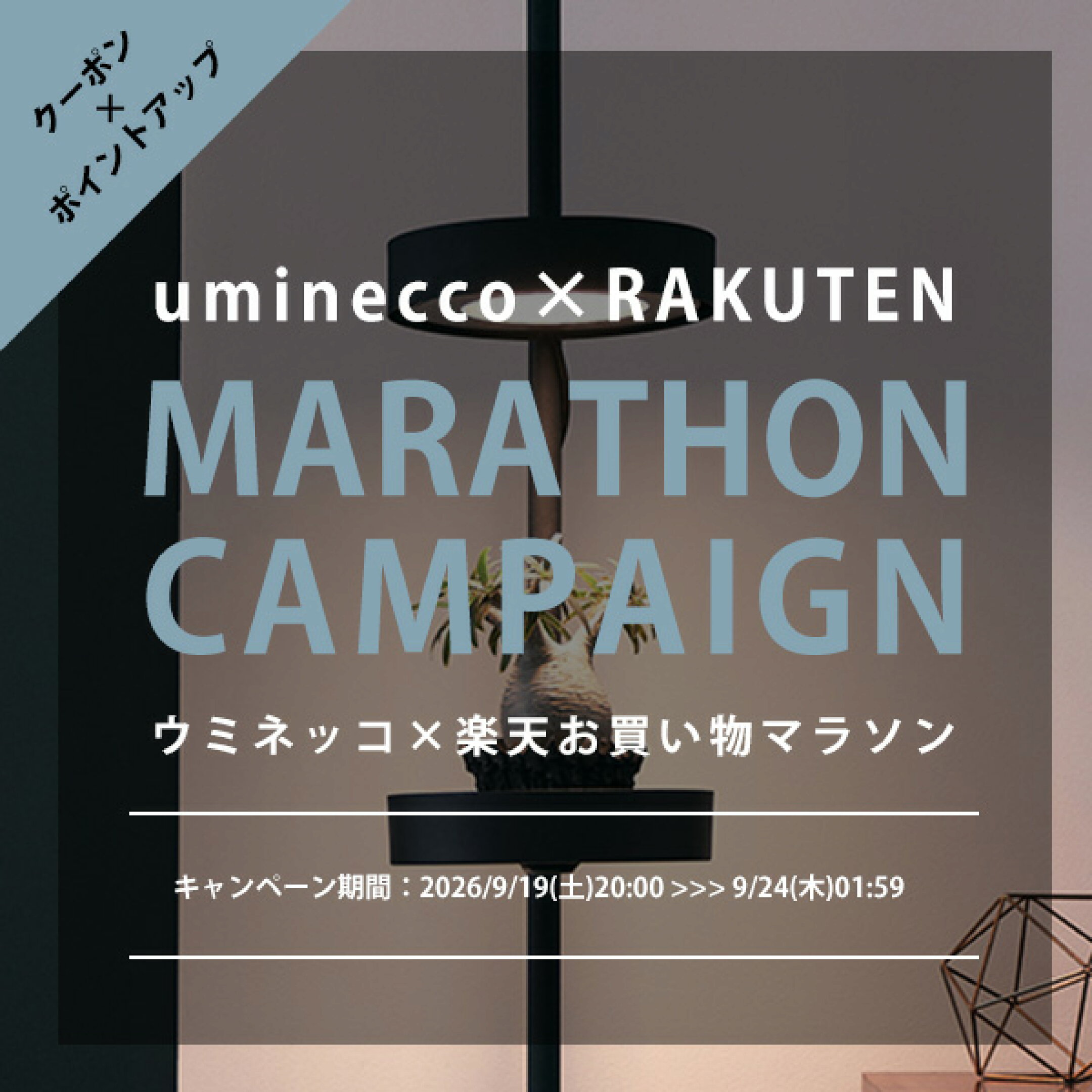 uminecco×楽天お買い物マラソン
