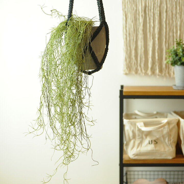 1452円 く日はお得 人工観葉植物 造花 フェイクグリーン 観葉植物 Brown