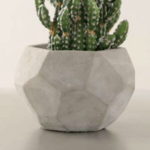 FARM t@[ |bgJo[ O 13 _PP02 ybsOΉz ybZ[WJ[hΉz ϗtA tFCNO[ Jo[ |bgJo[ fBXvC {^jJ A A Ce