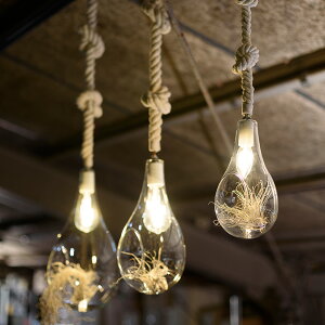 _ybgōőP7^ {^jbNnMOCg M _PP02 ybsOΉz ybZ[WJ[hΉz y_gCg nMOCg eE LEDCg LED IuWFCg C