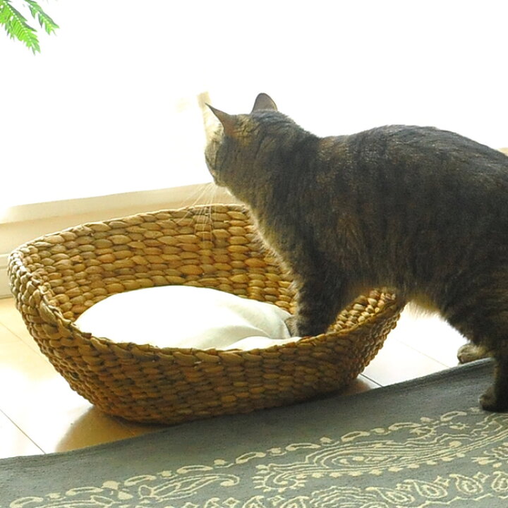 ラタン くじらベッド キャットベッド ハウス ベッド かわいい イヌ 犬 いぬ ネコ 猫用ベッド 犬用 クッション 猫用 おしゃれ
