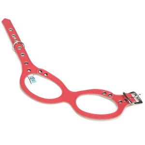 y󒍐Yz y1_܂Ń[։z  n[lX _ybgōőP5^ {v Kln[lX MTCY ybZ[WJ[hΉz pi U  n[lX {v ^