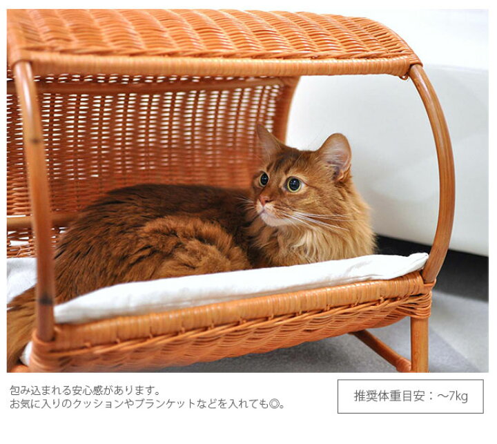 楽天市場 ラタン トンネルベッド キャットベッド 猫用ベッド ベッド ハウス クッション 犬用 かわいい おしゃれ 猫用 ネコ いぬ 犬 イヌ Uminecco ウミネッコ