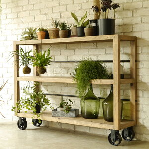 MOSH bV MUT SHELF M [g VFtM ymxeBΏۊOz VFt bN I [ X`[ C re[W Be[W CeA Ƌ