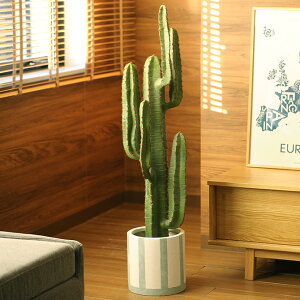 _ybgōőP5^ Brown. uE tFCNO[ T{e |bg 112cm _PP02 ybZ[WJ[hΉz ϗtA tFCNO[ T{e  fBXvC {^jJ A 