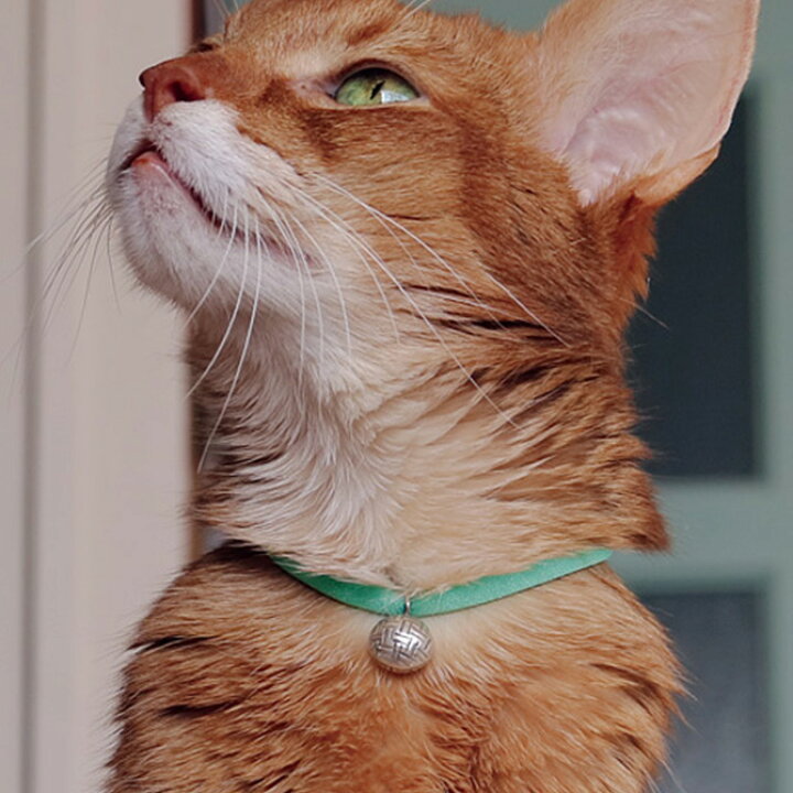 楽天市場 2点までメール便可 猫 首輪 Necono ネコノ 猫の首輪 Luce Bell ルーチェ ベル ラタンボール 猫 首輪 鈴 おしゃれ かわいい ギフト 猫用 プレゼント ペット用品 ネコ Uminecco ウミネッコ
