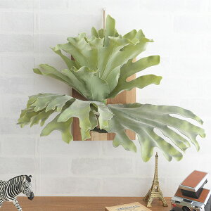 Brown. uE tFCNO[ rJNV_ EH[nMO AJVA 30 ybZ[WJ[hΉz tFCNO[ Ǌ| nMO   O[ CeA  A y