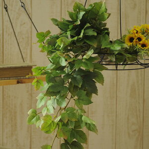 tFCNO[ VTXACr[ ubV ybZ[WJ[hΉz tFCNO[ nMO  VTXACr[ fBXvC O[ CeA ϗtA {^jJ yb