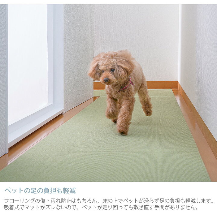 楽天市場】ペット用床保護マット 60×120cm 【メッセージカード対応】 犬 猫 ペット用 マット 撥水加工 床暖房対応 フロアマット 傷防止 汚れ防止 ずれない 【あす楽】 : uminecco(ウミネッコ)