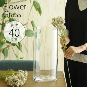 KXԕr EUROOX a19×40cm NA[ _PP02 _PP02 ybZ[WJ[hΉz t[x[X 傫 k [bp Vv ~ Ԋ  傫 ^ 