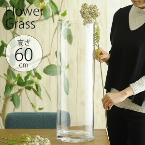 KXԕr EUROOX a19×60cm NA[ _PP02 _PP02 ybZ[WJ[hΉz t[x[X 傫 k [bp Vv ~ Ԋ  傫 ^ 