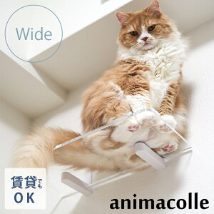�L���b�g�X�e�b�v animacolle �A�j�}�R�� Catroad+ �L���b�g ���C�h�X�e�b�v�N���A cp259 �y���b�s���O�Ή��z �y���b�Z�[�W�J�[�h�Ή��z �L ���� �L���b�g�X�e�b�v �L���b�g�E�H�[�N �� DIY ���C�h 