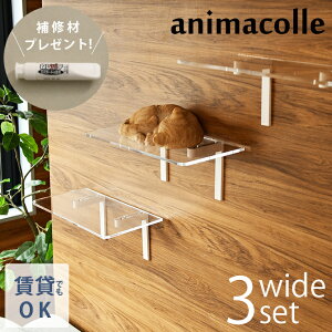 �y���r���[���T����z �L���b�g�X�e�b�v animacolle �A�j�}�R�� Catroad+ ���C�h�X�e�b�v 3�_�Z�b�g�i �N���A3�j �y���b�s���O�Ή��z �y���b�Z�[�W�J�[�h�Ή��z �L ���� �������� �L���b�g�X�e�b