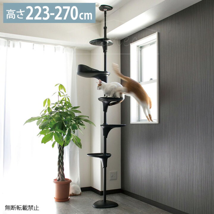 楽天市場 キャットタワー Oppo オッポ Cat Forest キャットフォレスト ブラック Cp259 猫 キャットタワー おしゃれ キャットツリー 突っ張り シンプル 上品 ブラック 黒 モノトーン あす楽 Uminecco ウミネッコ