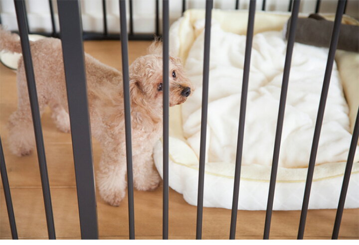 超人気 スカンジナビアンペットケージ Xxl 犬用 Fucoa Cl