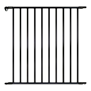  P[W _ybgōőP5^ XJWirAybgfUC ChZNV p ybgP[W  p[c P[W ybg XJWirAfUC zCg@ X^CbV 