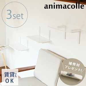 キャットステップ animacolle アニマコレ Catroad+ キャットステップ 3点セット 【ラッピング対応】 