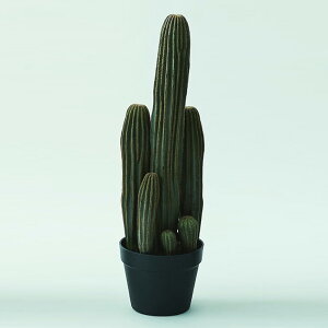 _ybgōőP5^ Brown. uE T{e |bg 63 ybZ[WJ[hΉz T{e tFCNO[  |bg lHϗtA A fBXvC  O[ C