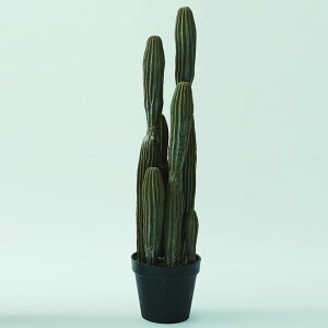 _ybgōőP5^ Brown. uE T{e |bg 91 ybZ[WJ[hΉz T{e tFCNO[  |bg lHϗtA A fBXvC  O[ C