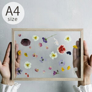 MOEBE [x FRAME t[ A4 I[N ybsOΉz ybZ[WJ[hΉz |X^[t[ k  A4 ؐ t[ z CeA  A[g