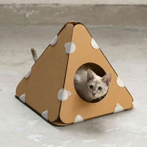 Lbg^[ pidan s_ LbgL[u eg 5 ybZ[WJ[hΉz Lp _{[ Lbg^[  gݗ gݍ킹 Vv nEX