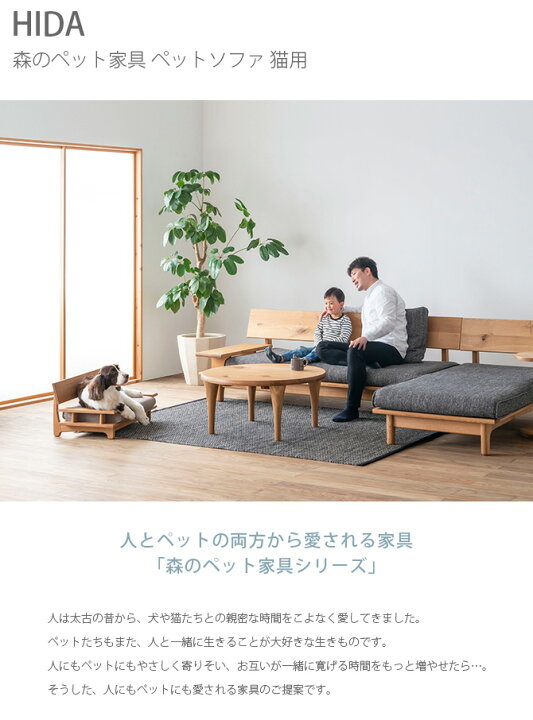 楽天市場】HIDA ヒダ 森のペット家具 ペットソファ 猫用 【メッセージ 