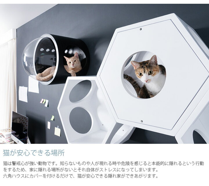 楽天市場 キャットステップ Myzoo マイズー Busy Cat専用 Cover Plate カバープレート ホワイト メッセージカード対応 猫 ハウス スツール 六角 木製 白 シンプル 椅子 腰掛け 北欧 あす楽 Uminecco ウミネッコ 楽天市場 キャットステップ Myzoo マイズー Busy Cat専用 Cover Plate カバープレート ホワイト メッセージカード対応 猫 ハウス スツール 六角 木製 白 シンプル 椅子 腰掛け 北欧 あす楽 Uminecco ウミネッコ