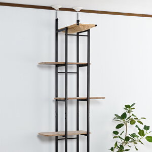 Lbg^[ Bonbi {rAR {r Lbgx[X ybZ[WJ[hΉz Lbg^[  Lbgc[ LbgEH[N Lp ˂ nbN v 