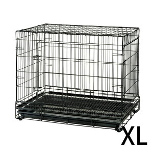  P[W Richell b`F vtFbViybgP[W XL ybZ[WJ[hΉz p P[W v  ^