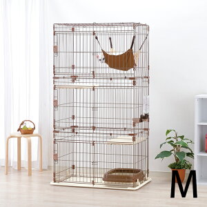 L P[W Richell b`F bNXLbgT[N M uE ybZ[WJ[hΉz Lp T[N LbgP[W P[W 3i nbNt