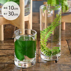 FOYER �z���C�G PV�V�����_�[ ���a10cm×����30cm �y���b�s���O�Ή��z �y���b�Z�[�W�J�[�h�Ή��z �t�����[�x�[�X �ԕr ���� �L���j�X�^�[ �|���J�[�{�l�[�g ������� �k�� �e�� �N���A �~��