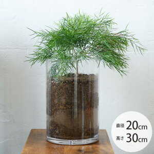 FOYER zCG PVV_[ a20cm×30cm ybsOΉz ybZ[WJ[hΉz t[x[X ԕr  ^ |J[{l[g  k e NA ~