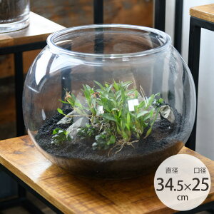 FOYER zCG PV` a34.5cm a25cm ybsOΉz ybZ[WJ[hΉz t[x[X ANAE eE    NA ԕr k O[