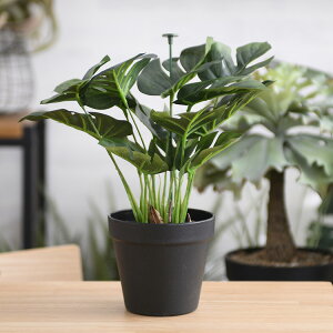 Brown. uE Xe |bg 28 ybZ[WJ[hΉz ϗtA tFCNO[ {^jJ   |bg  CeA fBXvC  bNX lHϗtA