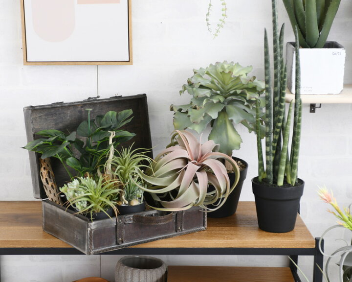 観葉植物 フェイクグリーン ボタニカル 造花 おしゃれ ポット インテリア Brown ブラウン モンステラ 28 日時指定