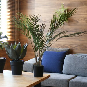 Brown. uE AJV |bg 70 ybZ[WJ[hΉz ϗtA tFCNO[ {^jJ   |bg  CeA fBXvC  bNX lHϗtA