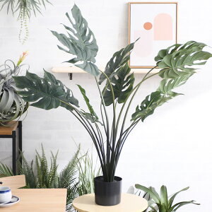 Brown. uE Xe |bg 97 ybZ[WJ[hΉz ϗtA tFCNO[ {^jJ   |bg  CeA fBXvC  bNX lHϗtA