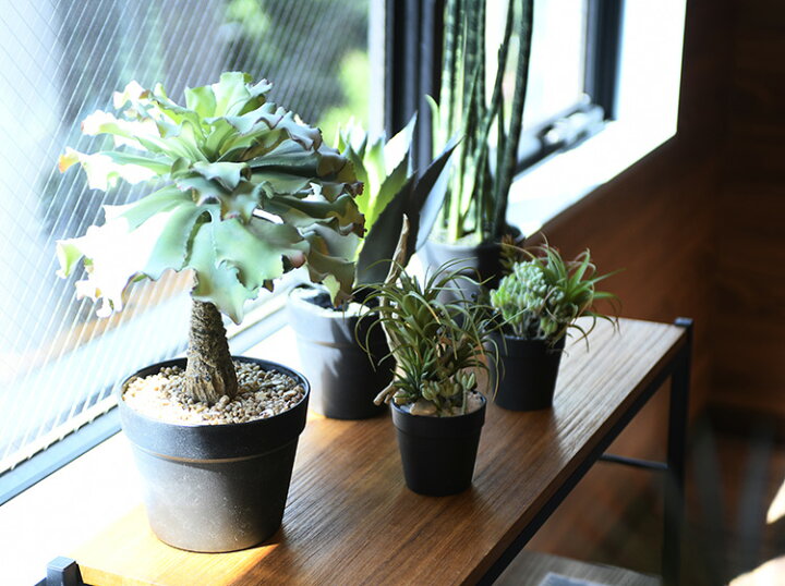 観葉植物 フェイクグリーン ボタニカル 造花 おしゃれ ポット 小さい インテリア 癒し リラックス Brown ブラウン ビカクシダ 52 Seal限定商品 観葉植物 フェイクグリーン ボタニカル 造花 おしゃれ ポット 小さい インテリア 癒し リラックス Brown ブラウン ビカクシダ 52 Seal限定商品