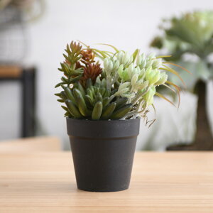 Brown. uE ~jAWg |bg SA ybZ[WJ[hΉz ϗtA tFCNO[ {^jJ   |bg  CeA fBXvC  bNX lH