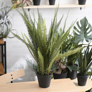 Brown. ブラウン ボストンファーン ポット グリーン 【メッセージカード対応】 観葉植物 フェイクグリーン ボタニカル 造花 おしゃれ ポット 小さい インテリア ディスプレイ 癒し リラックス