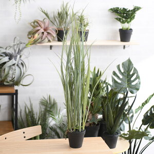 Brown. uE OX |bg ybZ[WJ[hΉz ϗtA tFCNO[ {^jJ   |bg  CeA fBXvC  bNX lHϗtA