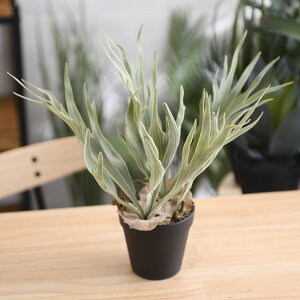 Brown. uE rJNV_ |bg 32 ybZ[WJ[hΉz ϗtA tFCNO[ {^jJ   |bg  CeA fBXvC  bNX lHϗtA