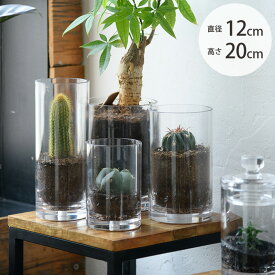 ＼ペット割で最大P5／ FOYER ホワイエ PVシリンダー 直径12cm×高さ20cm 【ラッピング対応】 【メッセージカード対応】 フラワーベース 花瓶 透明 キャニスター ポリカーボネート おしゃれ 北欧 容器 クリア 円筒