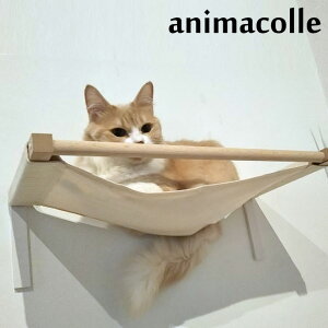 LbgXebv animacolle Aj}R Catroad+ LbgnbN ybsOΉz ybZ[WJ[hΉz L   LbgXebv Xebv Lbg^[ nbN 