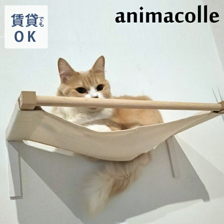 楽天市場】キャットステップ animacolle アニマコレ Catroad+ キャット 