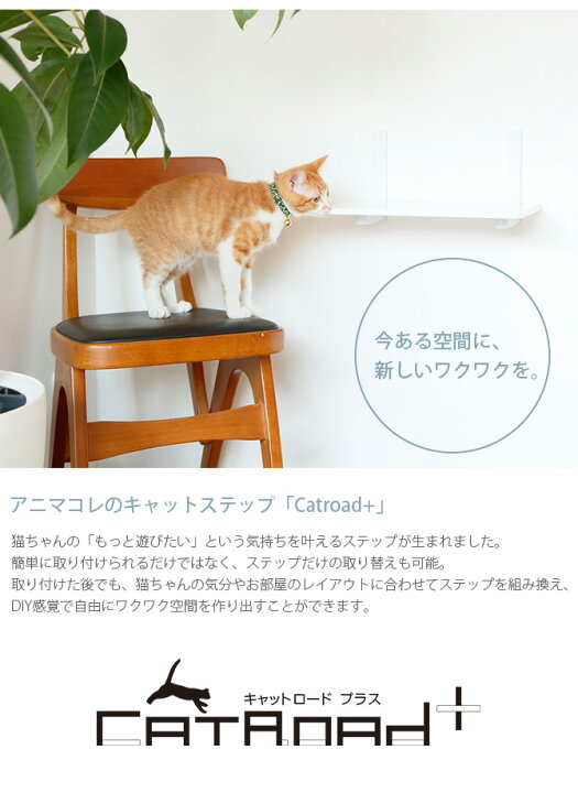 楽天市場】キャットステップ animacolle アニマコレ Catroad+ キャット 