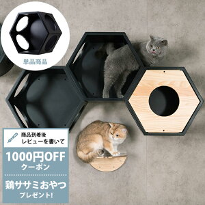 yr[Tz LbgXebv MYZOO }CY[ Busy cat ZpnEX ubN cp259 ybZ[WJ[hΉz L LbgXebv LbgEH[N Ǖt Ǌ| ubN Vv 