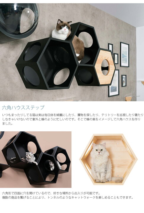 楽天市場】【レビュー特典あり】 キャットステップ MYZOO マイズー 