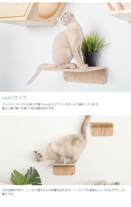 楽天市場】【レビュー特典あり】 キャットステップ MYZOO マイズー 
