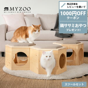 yr[Tz LbgXebv MYZOO }CY[ ZpnEXXc[Zbg cp259 ybZ[WJ[hΉz LbgXebv LbgEH[N MYZOO }CY[ Ǖt Lp  e